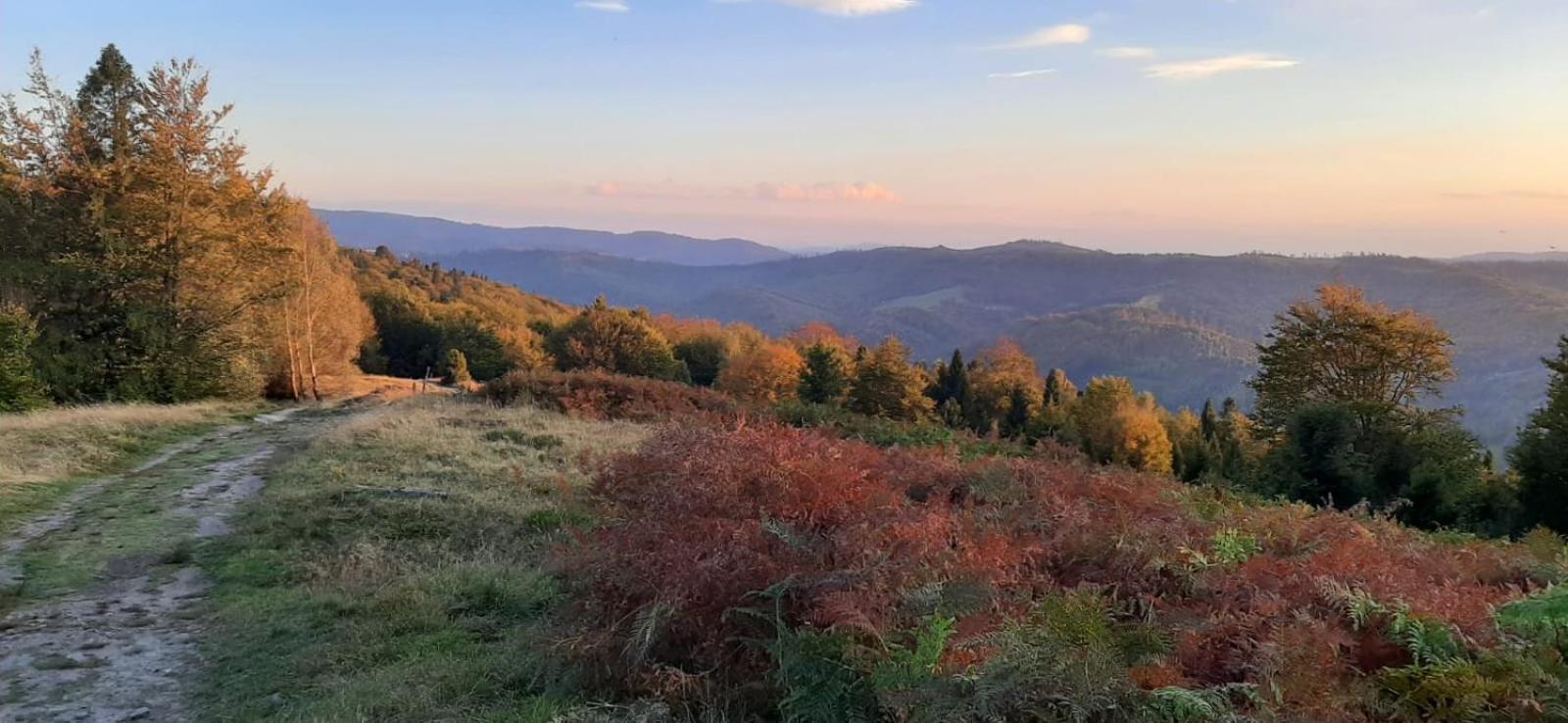 Spokoj W Gorach Brenna Εξωτερικό φωτογραφία